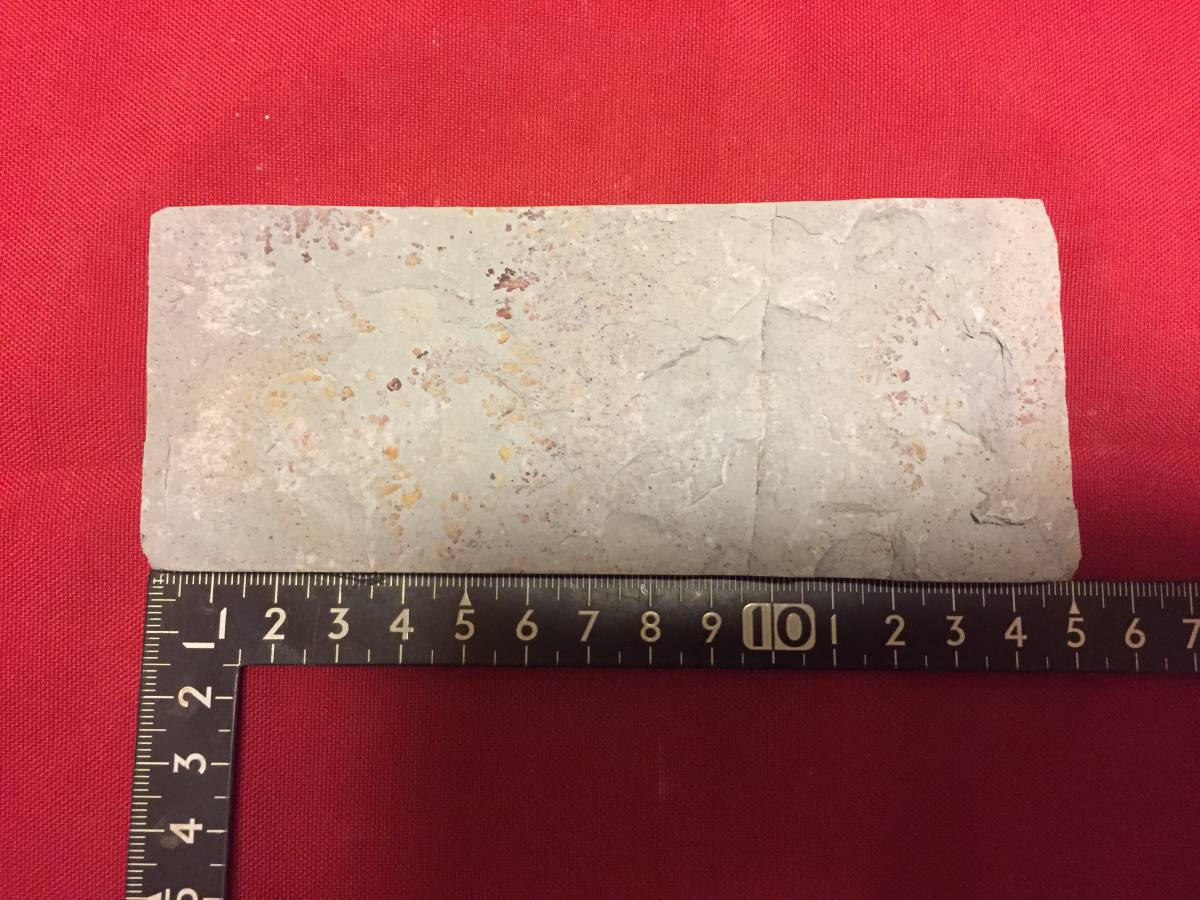 【お得，100%新品】 刀剣研磨用品 内曇砥石③(刀、太刀)｜売買されたオークション情報、yahooの商品情報をアーカイブ公開 - オークファン 刀、太刀