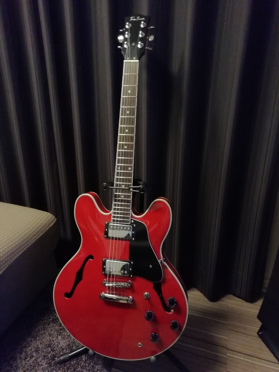 Tony Smith トニースミス エレアコ ギター 極美品 5.5万 ワインレッド