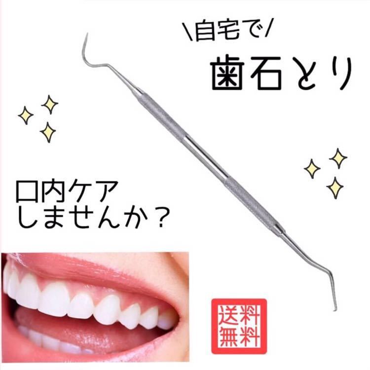 自宅 簡単ケア 歯石取り スケーラー オーラルケア ヤニ取り ペット ステンレス(その他)|売買されたオークション情報、yahooの商品情報を ...