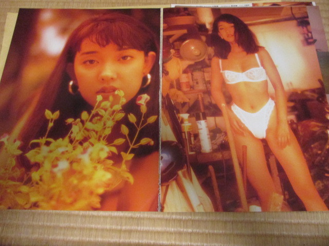 原久美子　　切り抜き２３ページ_3