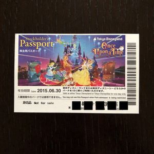 入手困難 ディズニーランド チケットホルダー 使用済みチケット ファストパス Www Shipsctc Org