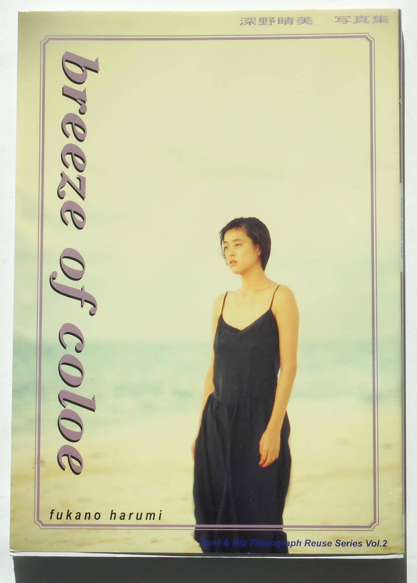 最安値，新作登場 深野晴美 breeze of color(その他)｜売買されたオークション情報、yahooの商品情報をアーカイブ公開 - オークファン は行