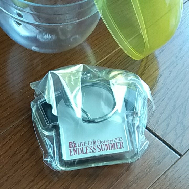 新品未開封☆B'z LIVE-GYM Pleasure2013 ENDLESS SUMMER 会場限定ガチャ ツアーTシャツ キーホルダー_2