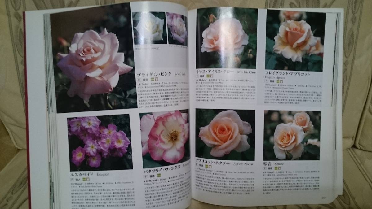 Nhk趣味の園芸 バラ大百科 選ぶ 育てる 咲かせる オールカラー全415頁 定価30円 ガーデニング 売買されたオークション情報 Yahooの商品情報をアーカイブ公開 オークファン Aucfan Com