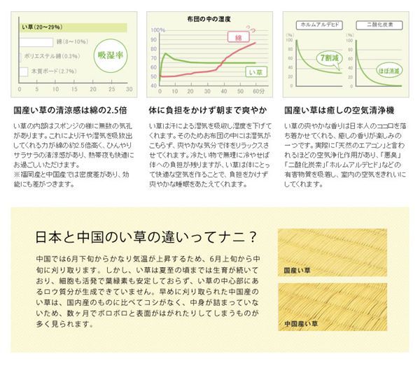 送料200円□fn014□添島勲商店 国産 い草花ござ ラグマット【シンオク