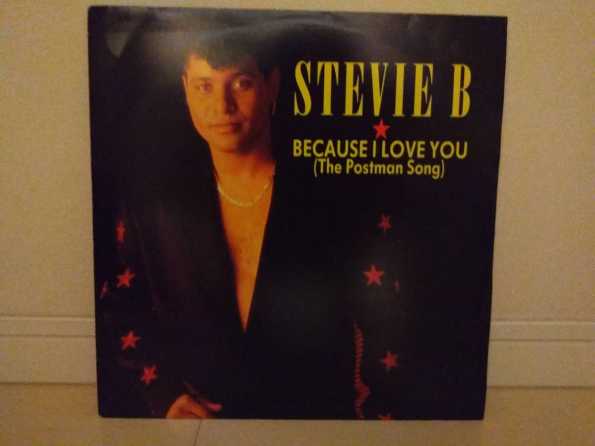 人気SALE，格安 STEVIE B / BECAUSE I LOVE YOU アナログ(ディスコ)｜売買されたオークション情報、yahooの商品情報をアーカイブ公開 - オークファン ディスコ
