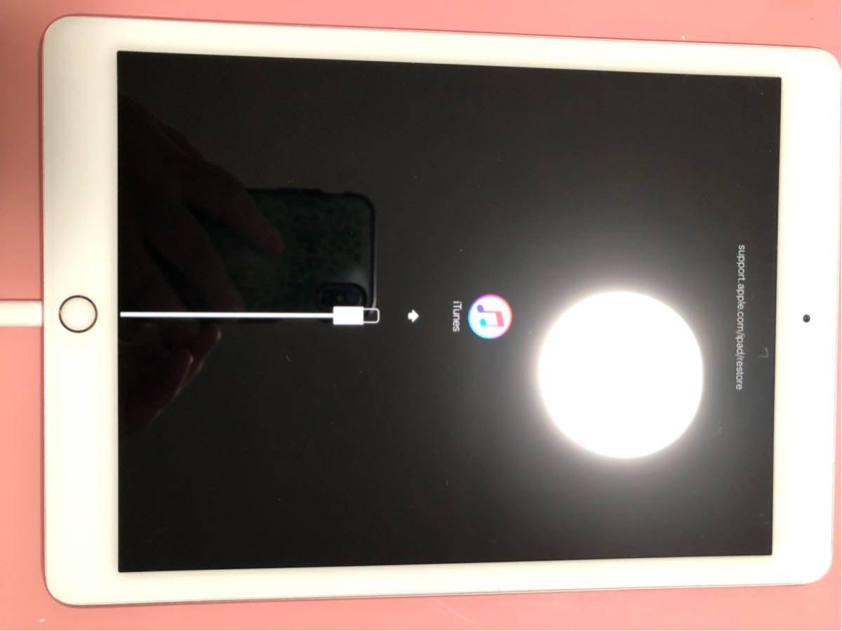 iPad Pro Apple + Wi-Fi+Cellular 128GB SIMフリー Cellularモデル Wi