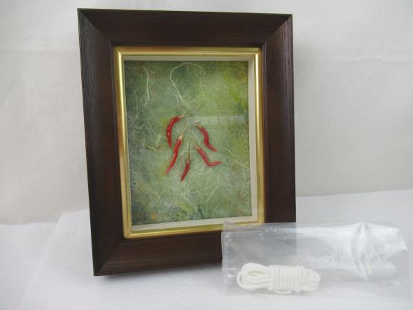 新作登場，新作 516 珊瑚 日本珊瑚工房 唐辛子 額付き(雑貨)｜売買されたオークション情報、yahooの商品情報をアーカイブ公開 - オークファン その他