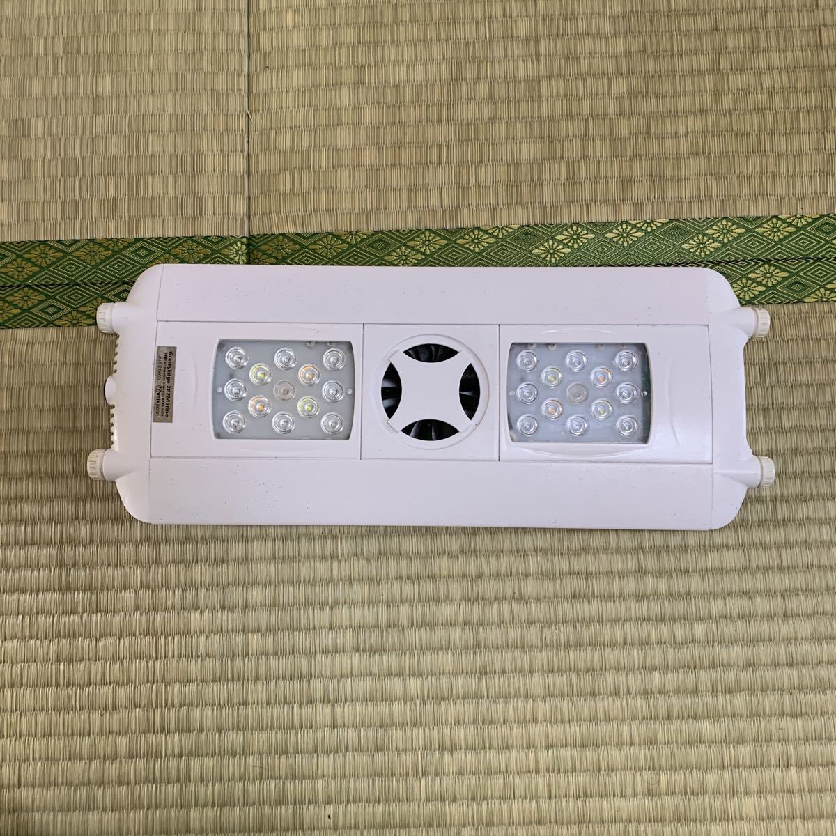 Grassy Edge 262 Fresh LEDライト 65W 【公式通販】