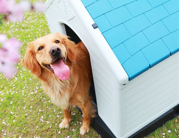 大型犬 ドッグ 犬舎 犬小屋 ハウス おうち 屋外 野外 庭用 プラス ティック製 プラスチック 防水 通気性 ドア無し 大型犬用 売買されたオークション情報 Yahooの商品情報をアーカイブ公開 オークファン Aucfan Com