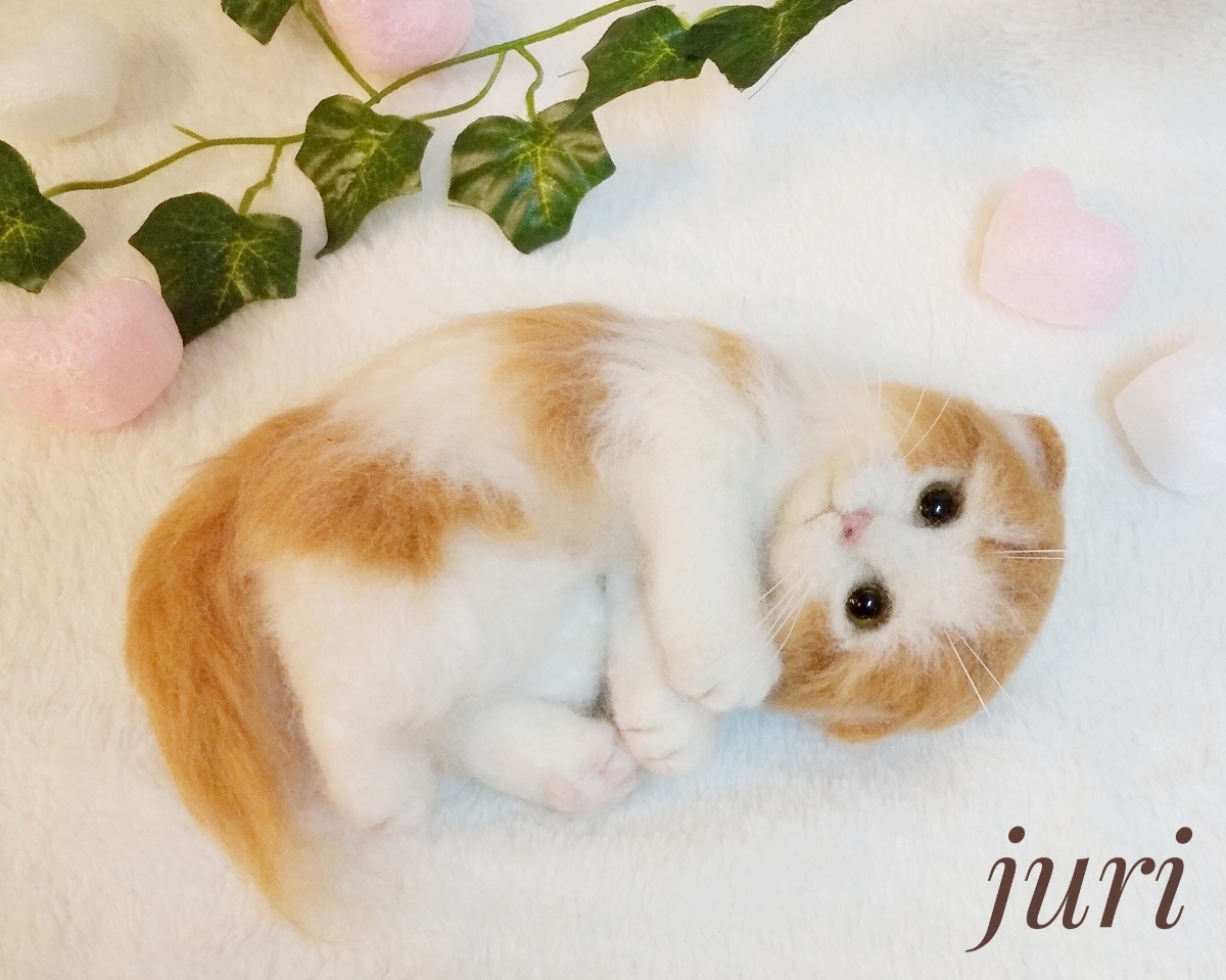 通販 スコティッシュフォールド 羊毛 フェルト ねこ funwari 羊毛