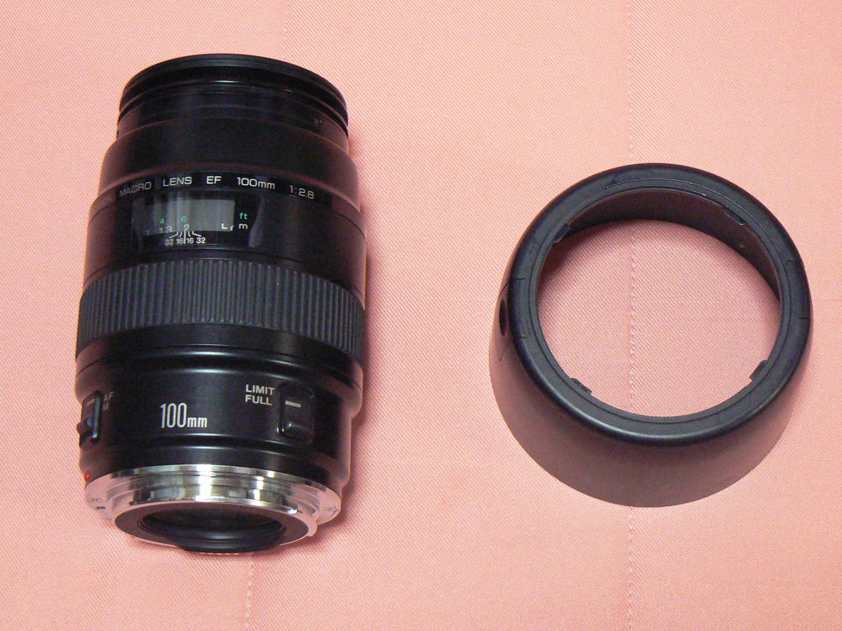 キヤノン Canon EF 100mm F2.8 MACRO USM 一眼カメラ用レンズ（オート 