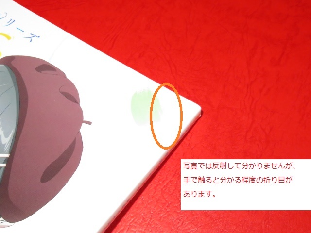 ANIPLEX+ 青春ブタ野郎 公式イラストブック PAINTING 限定特典付 桜島