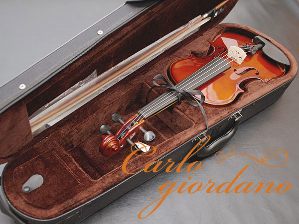 新品 送料無料 カルロジョルダーノ VS-1 1/10 Carlo giordano 分数