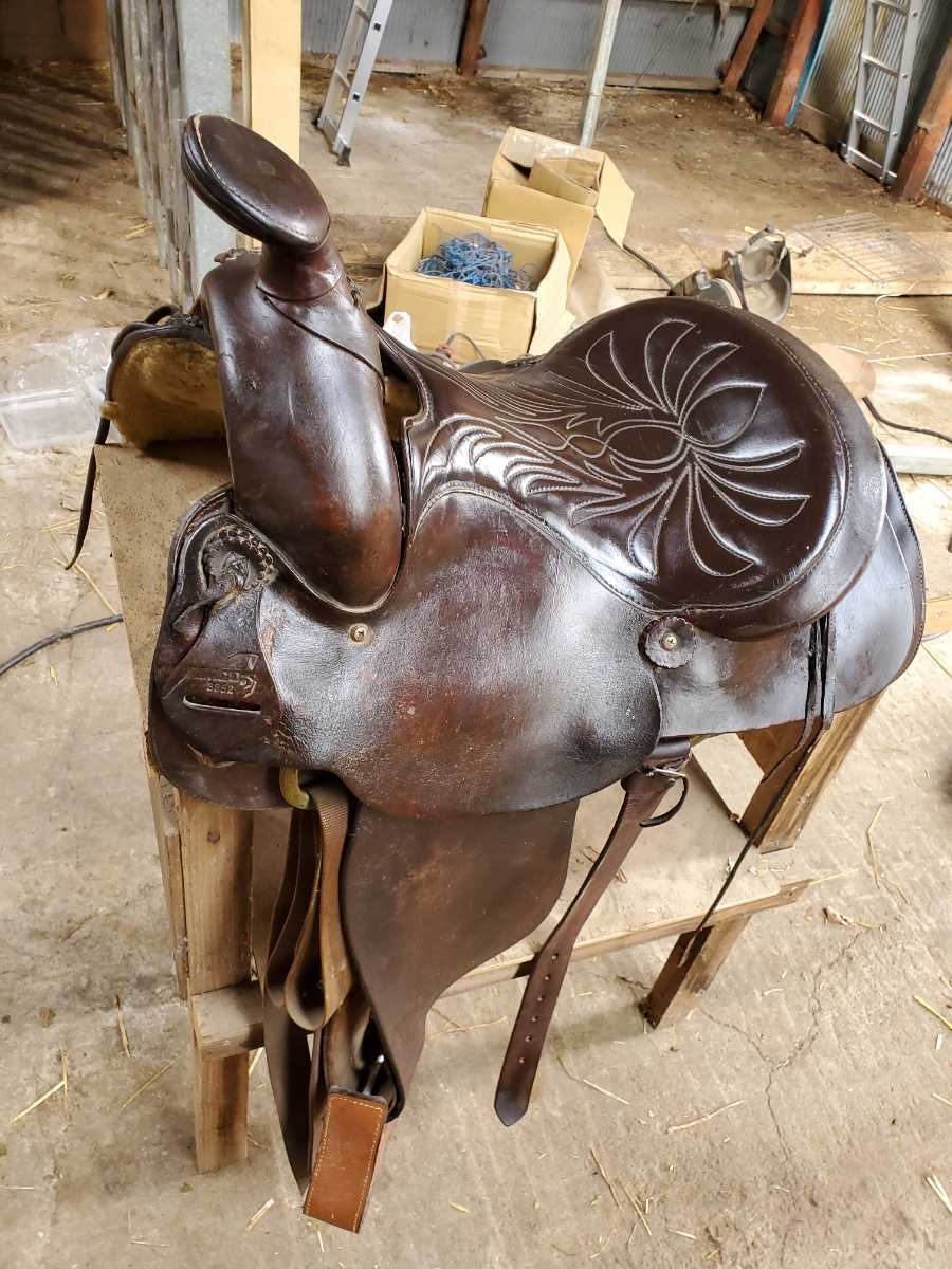  ウエスタンサドル ウエスタン鞍(乗馬、馬術)｜売買されたオークション情報、yahooの商品情報をアーカイブ公開 - オークファン 乗馬、馬術