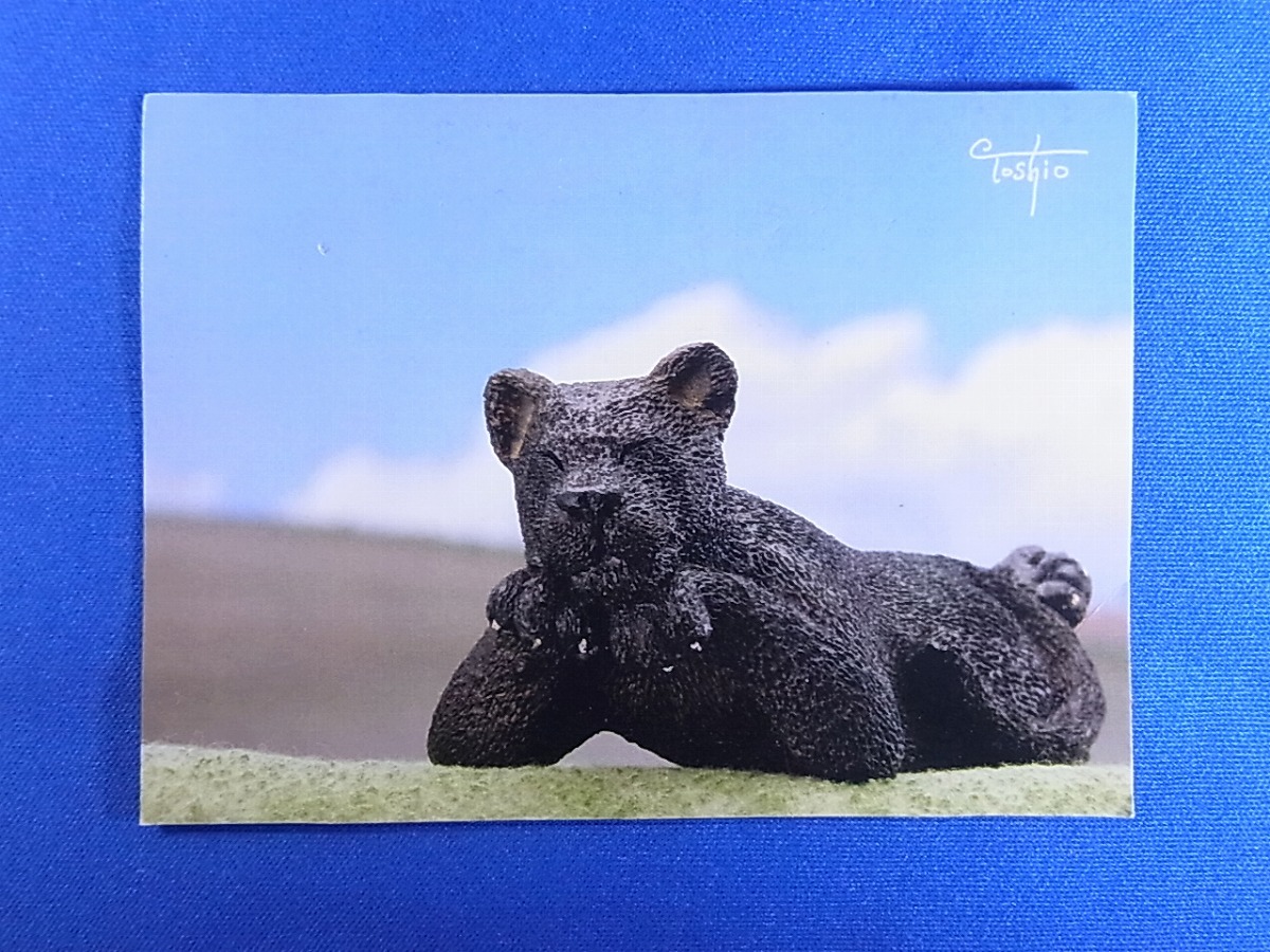 ユージン 朝隈俊男シリーズ 動物の気持ち クロヒョウ 黒ヒョウ 生き物 売買されたオークション情報 Yahooの商品情報をアーカイブ公開 オークファン Aucfan Com