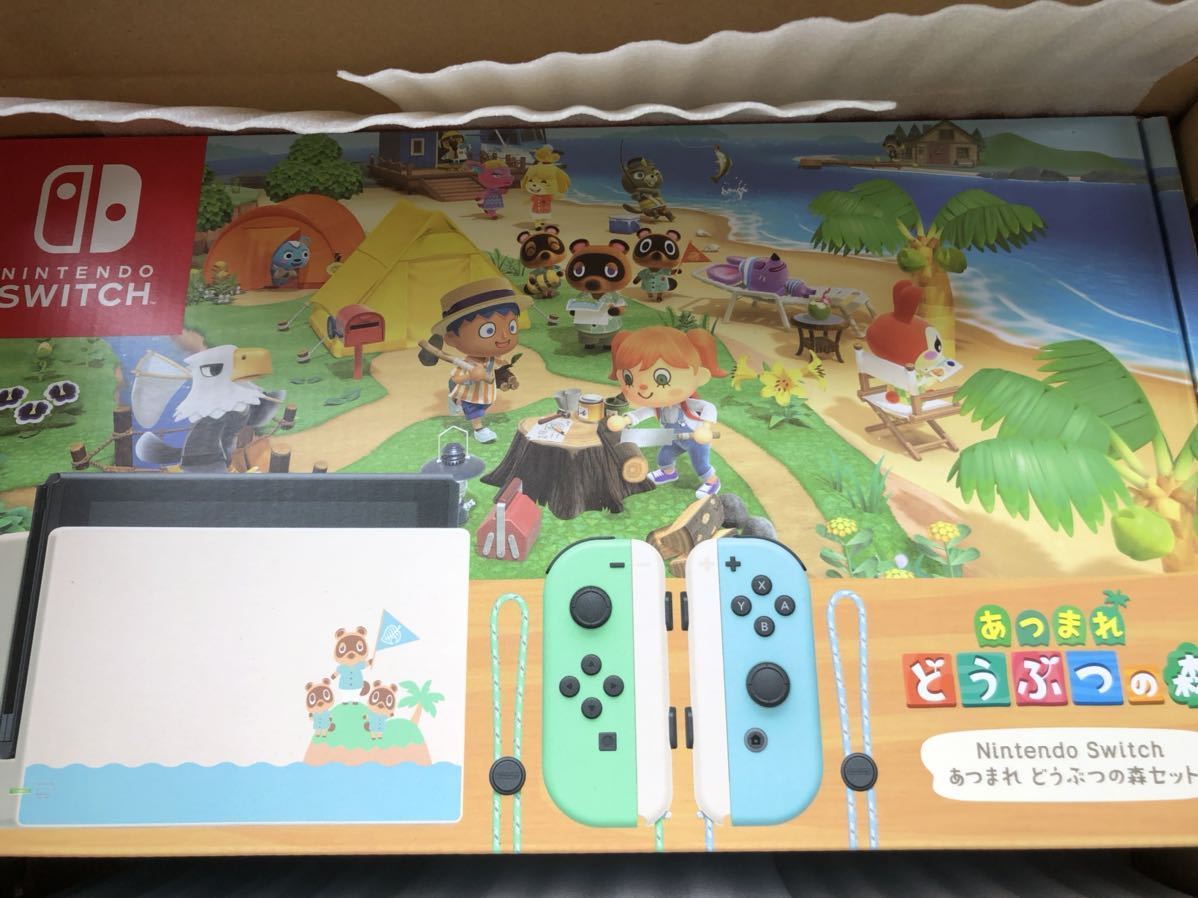 Nintendo Switch あつまれ どうぶつの森セット ニンテンドースイッチ同