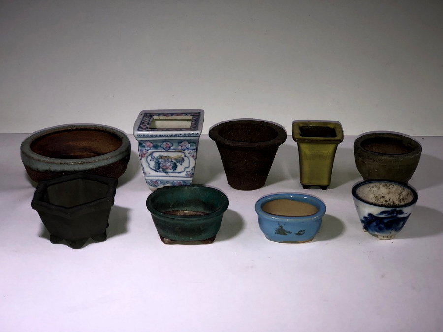 ミニ盆栽 盆栽鉢 人気絵付作家地蔵丸鉢豆盆栽 小品盆栽 春嘉