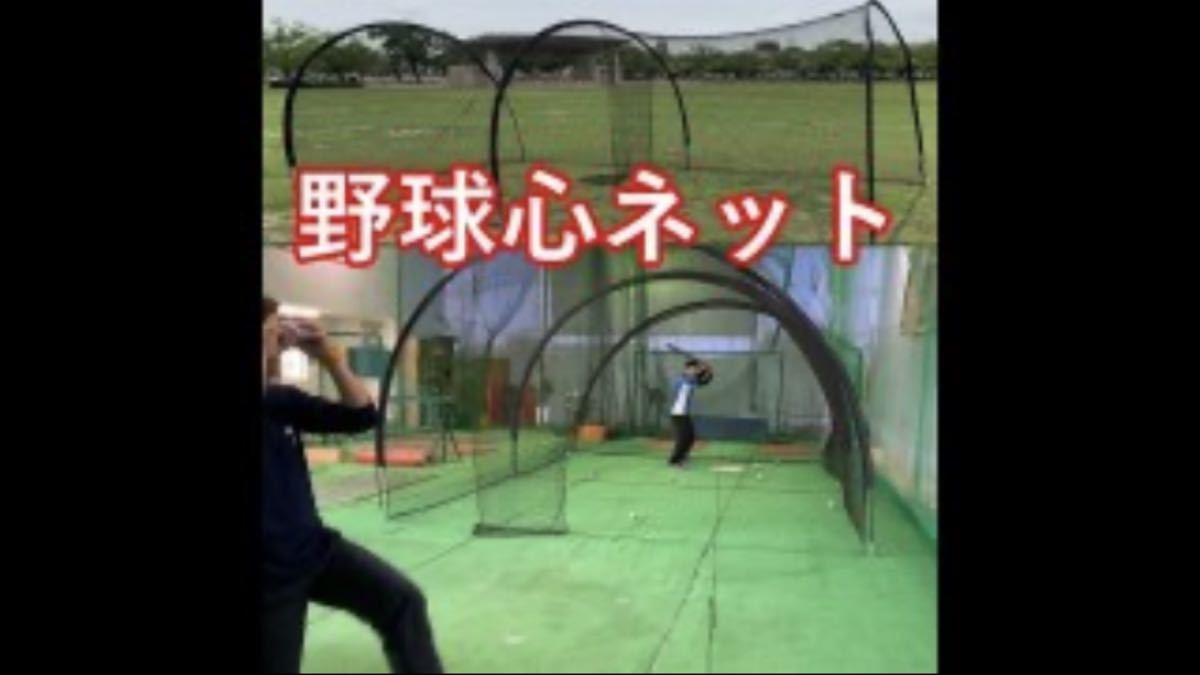 野球心 バッティング練習ネット 野球心ネットの通販 ネット 野球