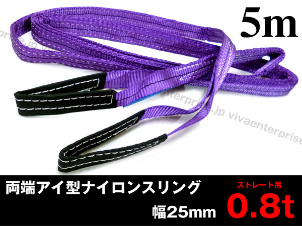 幅25mm ベルトスリング 5m ナイロン スリングベルト 使用荷重800kg : 25mm 10本セット 本日限定クーポンで最大10%OFF10本セットスリング スリング 長さ5m 1M Sondsilen INOUE(ジェット 5m]