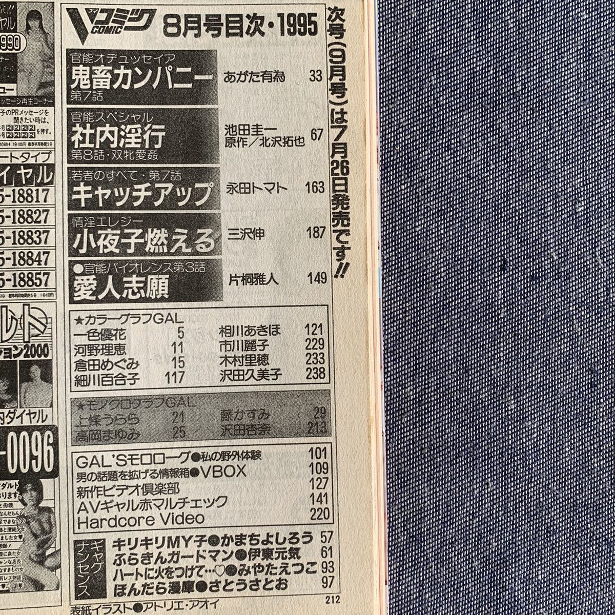 Vコミック 1995年 平成7年 8月号 池田圭一 北沢拓也 あがた有為 永田トマト 三沢伸 片桐雅人 新井田孝 表紙 アトリエ アオイ 日本出版社 青年 売買されたオークション情報 Yahooの商品情報をアーカイブ公開 オークファン Aucfan Com