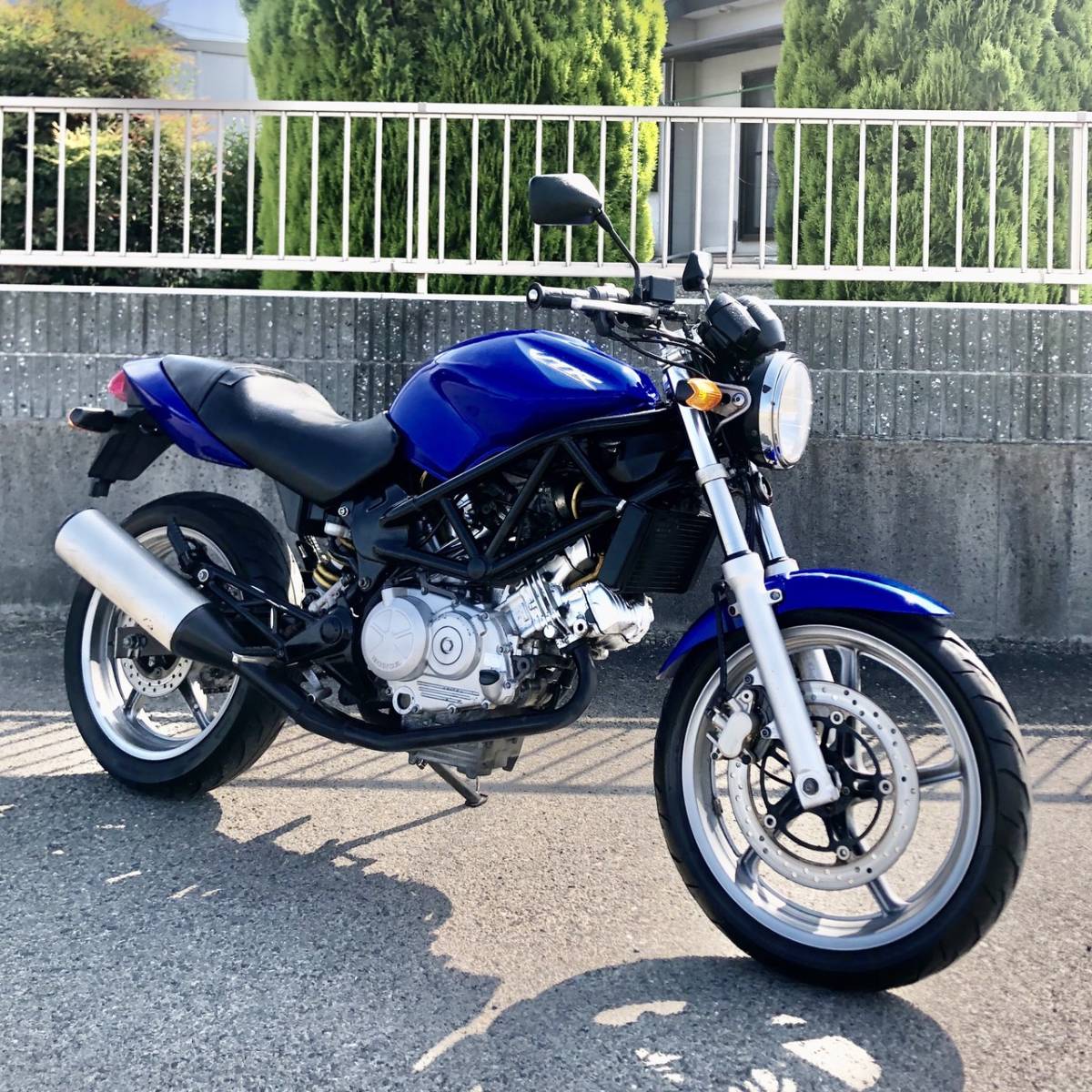 ホンダ VTR250 MC33 実動 書類付き 絶版車 人気 青 美車 ネイキッド 検) VTZ VFR FE FC CBR CBX バリオス ジェイド