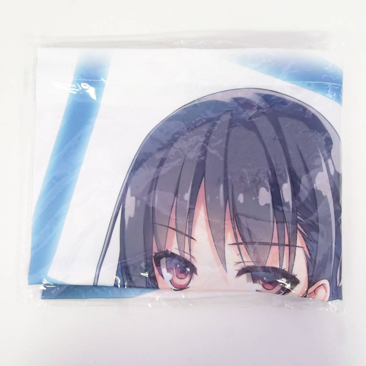 ようこそ実力至上主義の教室へ : √堀北 - KADOKAWA [MF文庫J] (MF 0 