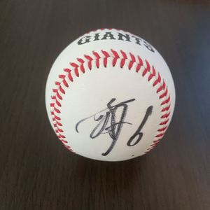 投げ入れ サインボールのYahoo!オークション(旧ヤフオク!)の相場・価格  