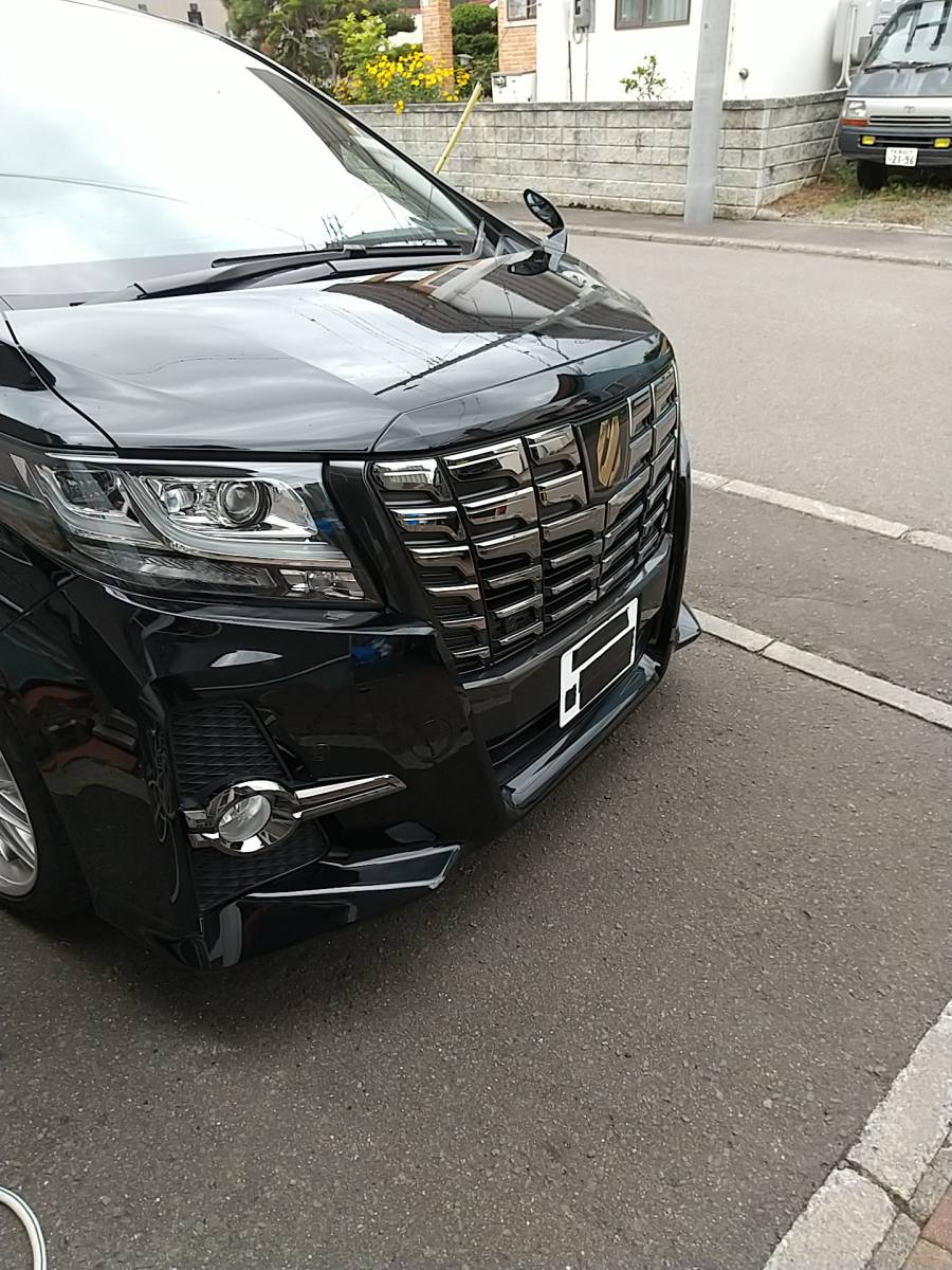 30 アルファード 前期 ボンネット フード モール 202黒　送料無料_3