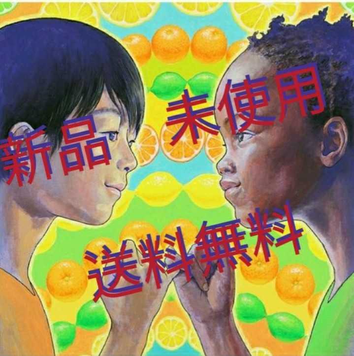 岡村靖幸『操』LPレコード_1