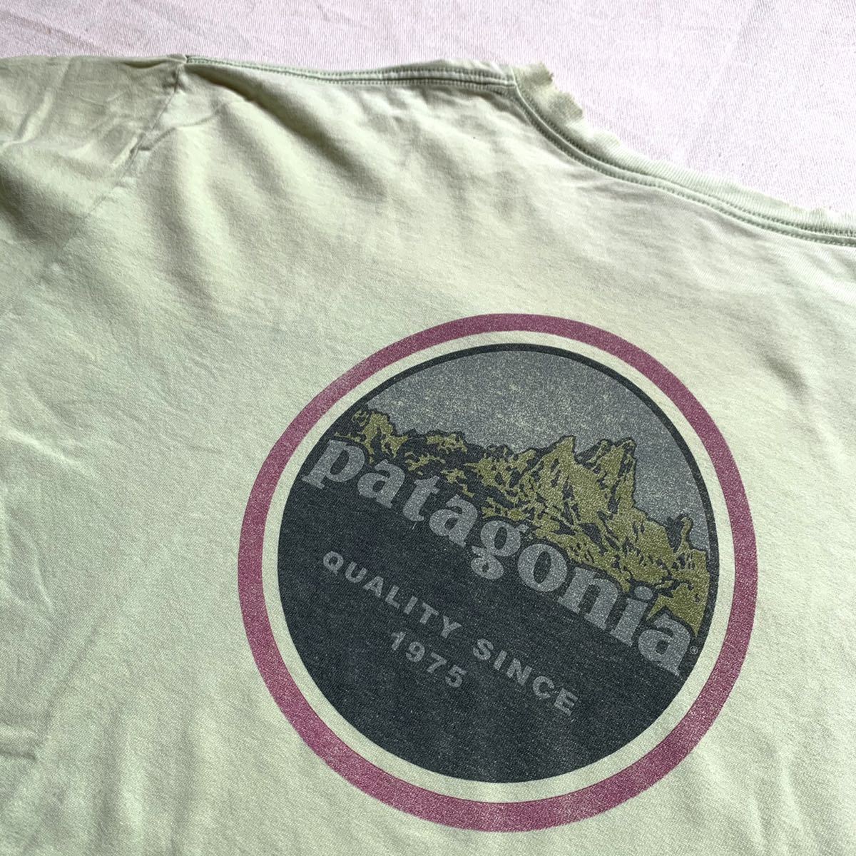 新品，本物保証 Patagonia パタゴニア beneficial T's Tシャツ 半袖 カットソー USA製 デカロゴ グリーン ワンポイント 90s 90年代 古着 ヴィンテージ(半袖Tシャツ)｜売買されたオークション情報、yahooの商品情報を 男性用