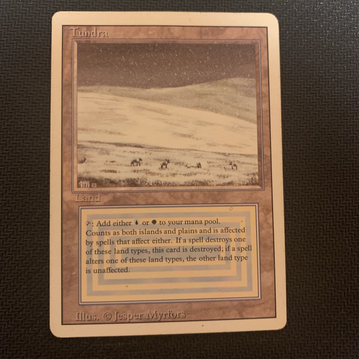 Tundra MTG Revised Edition · Magic: The - 3ED リバイズド デュアル 