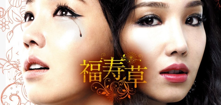 韓国ドラマ 福寿草 全36巻