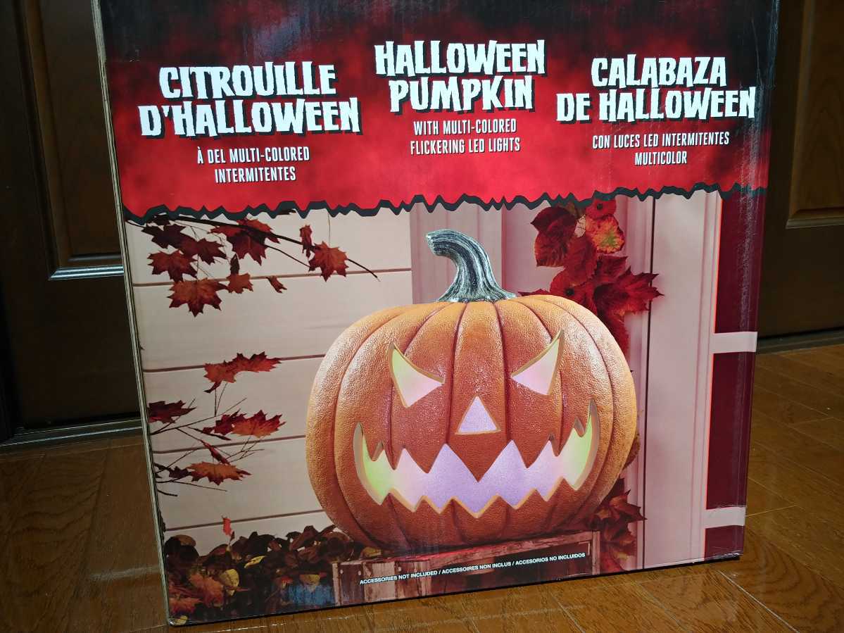 特大ジャックオーランタン : 鑑賞用『 本物カボチャ 巨大 ハロウィン用