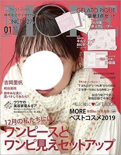 MORE モア 2020年1月号付録 ジェラートピケ ネコ柄 キルティング 