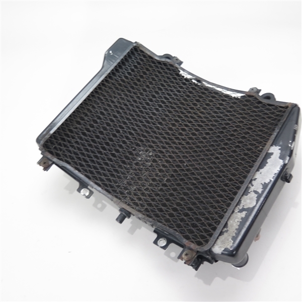 Yahoo!オークション - ZZR1200⁄ZXT20C 純正 ラウンド ラジエター