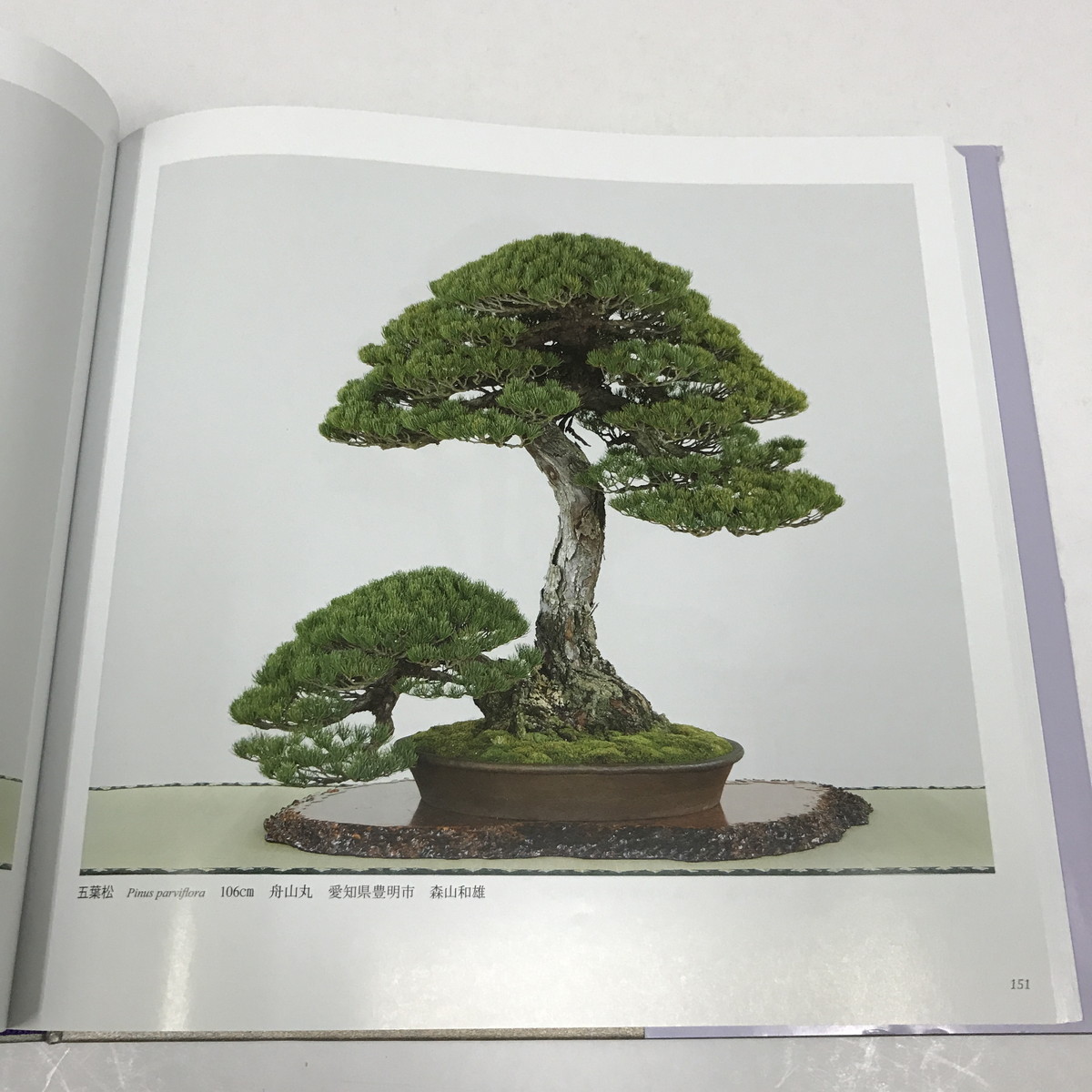 JB/L/【図録】第92回 国風盆栽展/日本盆栽協会/平成30年/函入り/傷みあり