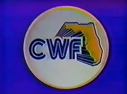 低価，得価 オークション購入品 CWF Classic Florida サトー カブキ 藤波 マサ レイス ドリー ブリスコ ローデス 有名選手多数 DVD5枚組(プロレス)｜売買されたオークション情報、yahooの商品情報をアーカイブ プロレス