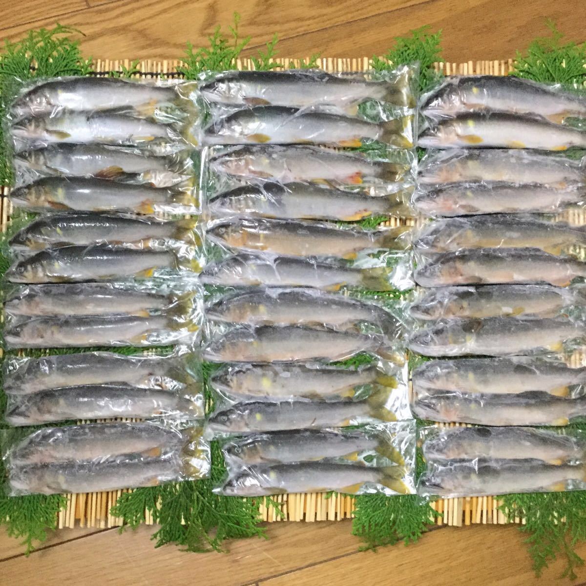 価格交渉あり！☆天然本クエ（アラ）　5.1kg前後　即決ご落札5枚おろし可　高級食材　玄界灘漁師　栄光まる直送 アラ クエ 価格交渉あり！☆天然本クエ（アラ） 海鮮 高級魚 特価業務用養殖本鮪（マルタ産）腹下&frasl;中トロ端