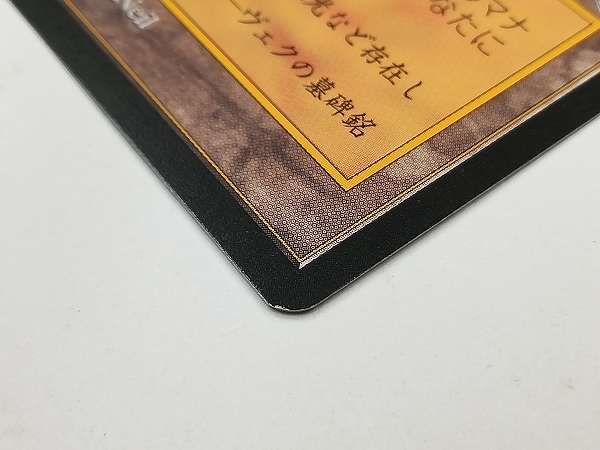 sA259o [人気] MTG 古えの墳墓 Ancient Tomb 日本語版 TMP 土地 アンコモン 日本最大級 | &frasl; Ultimate Tomb) カードラッシュ[MTG]