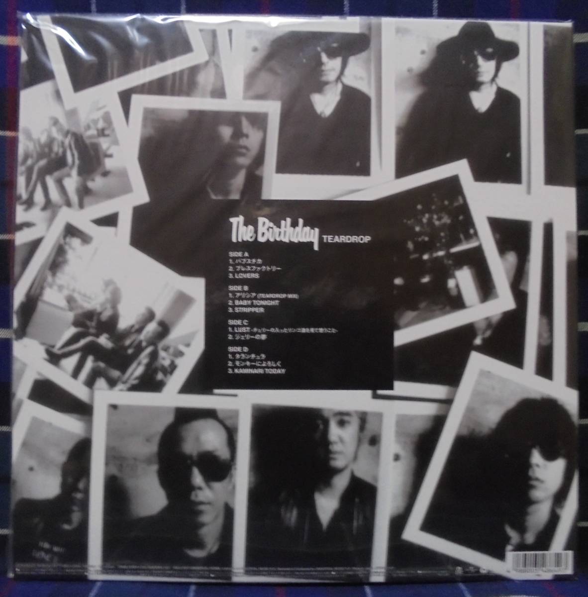 The Birthday Teardrop – レコード - 貴重 チバユウスケ 2LP Vinyl