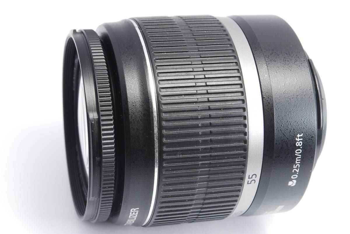 美品 Canon EF-S 55-250mm IS STM 望遠レンズ キャノン Canon 55-250mm