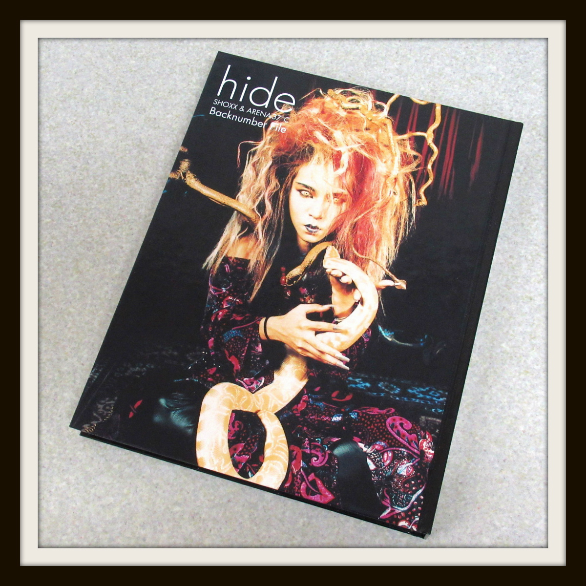 hide SHOXX & ARENA 37℃ Back number File hide shoxx&アリーナ37