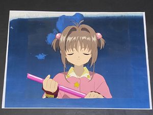 セル画 カードキャプターさくら その310 カードキャプターさくら セル