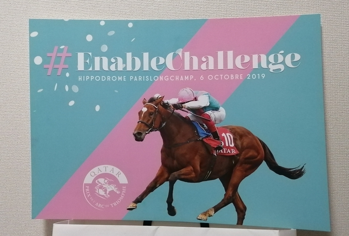 格安，豊富な エネイブル チャレンジパネル 凱旋門賞 エネイブル応援グッズ 2019年(その他)｜売買されたオークション情報、yahooの商品情報をアーカイブ公開 - オークファン その他