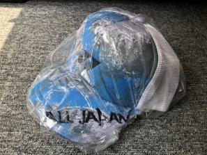品質保証，お買い得 ヨネックス 限定 2019 ALLJAPAN キャップ グレー 帽子 オールジャパン YONEX ブルー 灰色 青(帽子、サンバイザー)｜売買されたオークション情報、yahooの商品情報をアーカイブ公開 - オークファン 帽子、サンバイザー