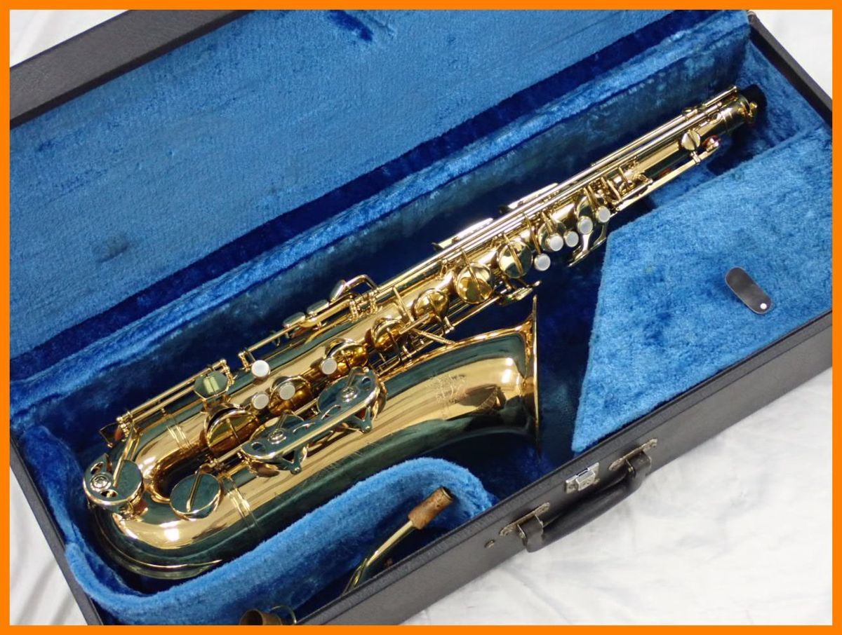 ☆AMATI/アマティ Lignatone/リグナトーン CLASSIC DELUXE テナー
