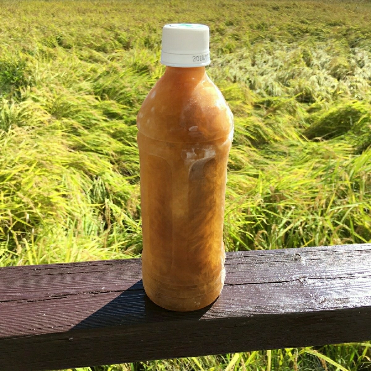 分かりやすいカラー説明書付き！毎年大好評！ 日本蜜蜂誘引液500ml×2本 ミツバチ みつばち ルアー 分蜂 養蜂 蜜蝋 巣箱 蘭 キンリョウヘン_1