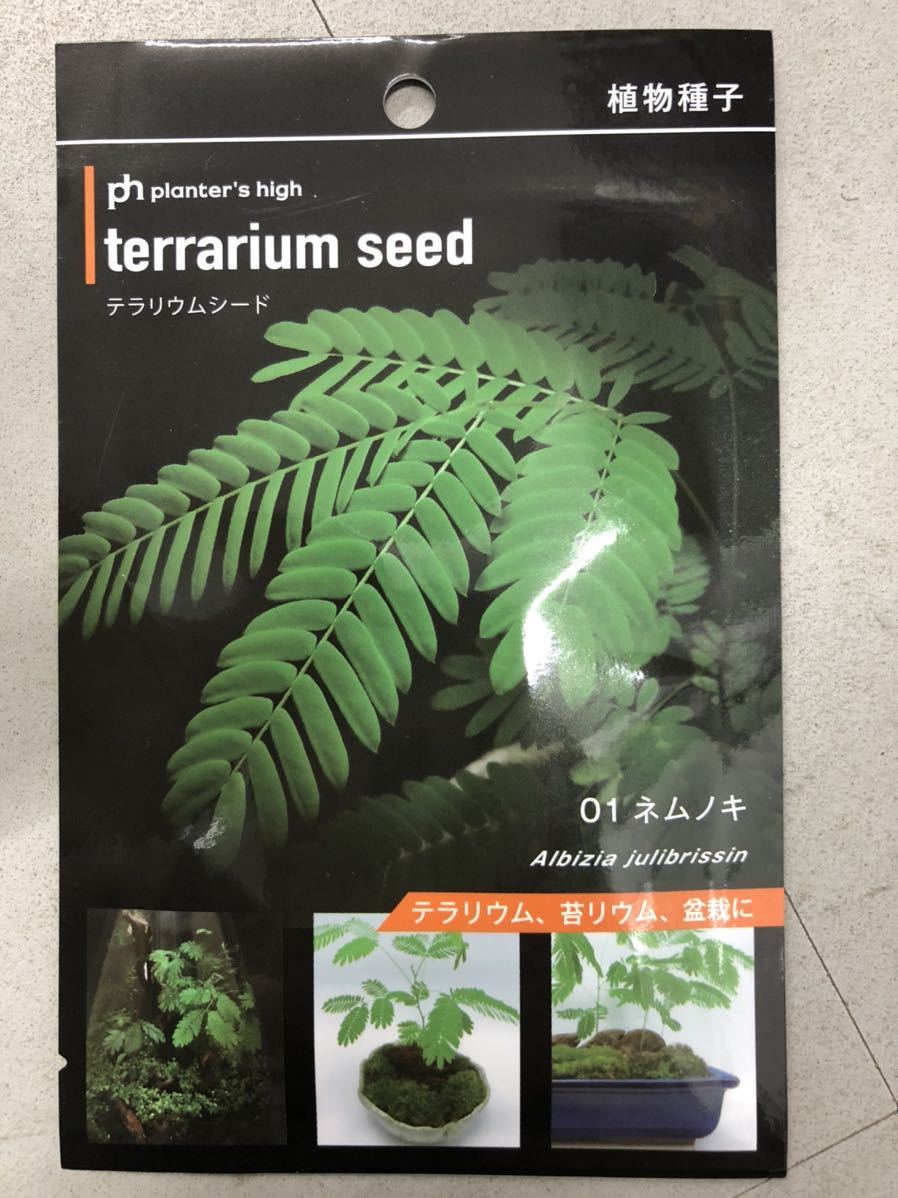 テラリウムシード 植物種子 検索 水草 アヌビアス ミクロソリウム ウィローモス メダカ 水槽 Ada 金魚 シュリンプ 観葉植物 苔 盆栽 水草 売買されたオークション情報 Yahooの商品情報をアーカイブ公開 オークファン Aucfan Com