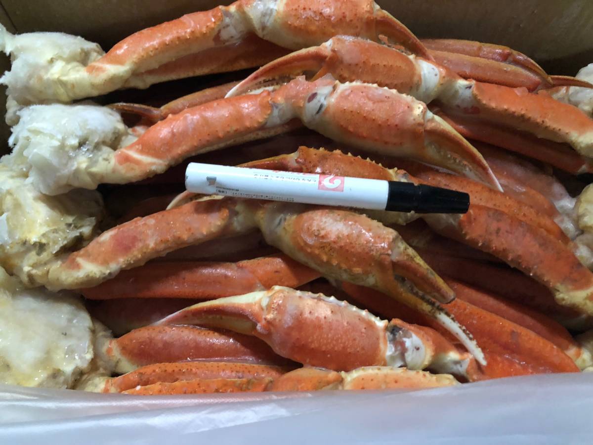 ★年末年始発送可商品★★ボイル本ズワイガニ　6L　5ｋｇ　数6/50 5L 5ｋｇ ☆売切ボイル本ズワイガニ 4L ワンフローズン ５ｋｇ